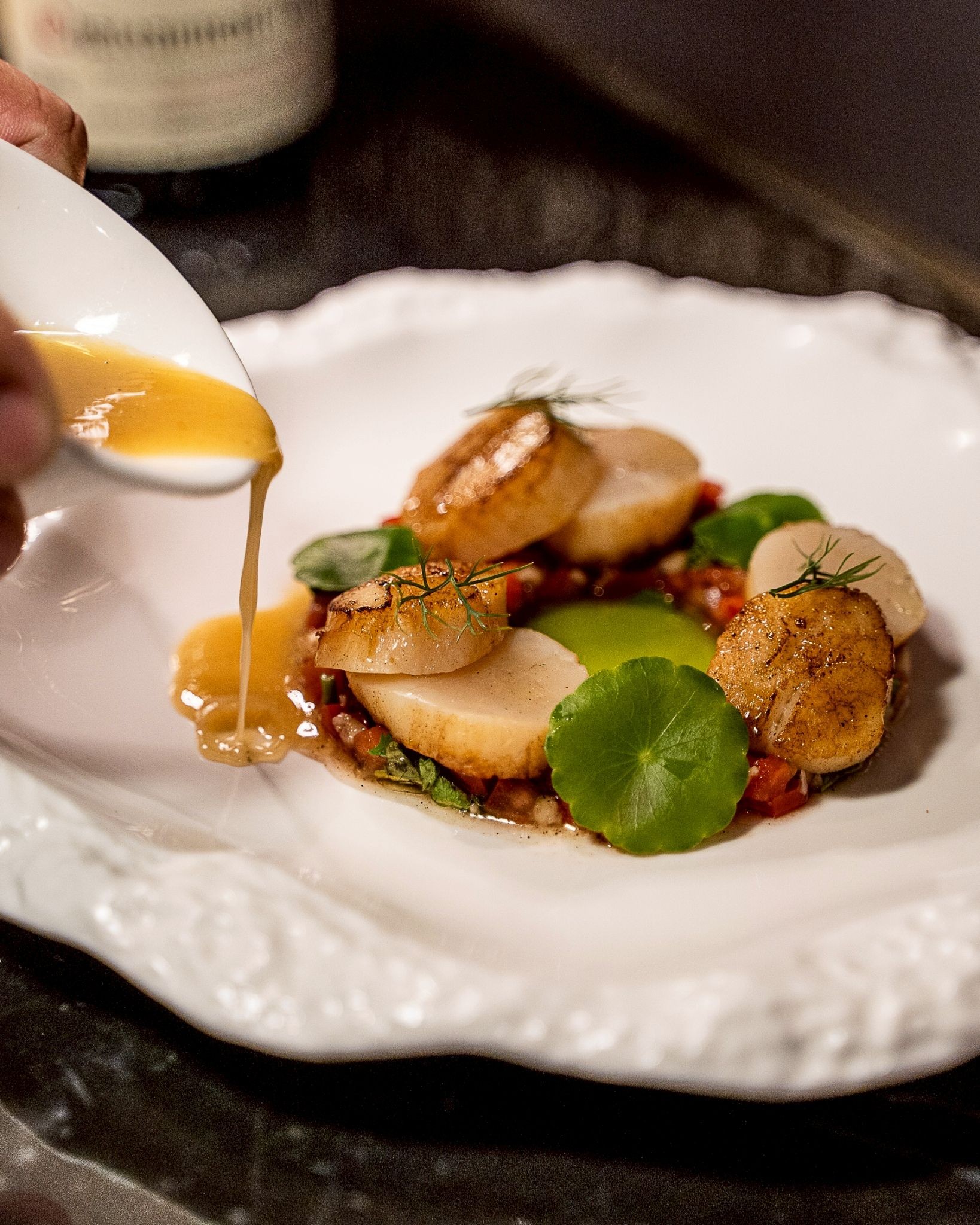 HOKKAIDO SCALLOP WITH SPICY TOMATO SALSA 🌶